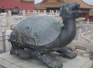 Mythical Tortoise/Dragon