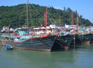 The fishing fleet at Tai O Village