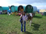 Traditional Gypsy caravans, Appleby Horse Fair